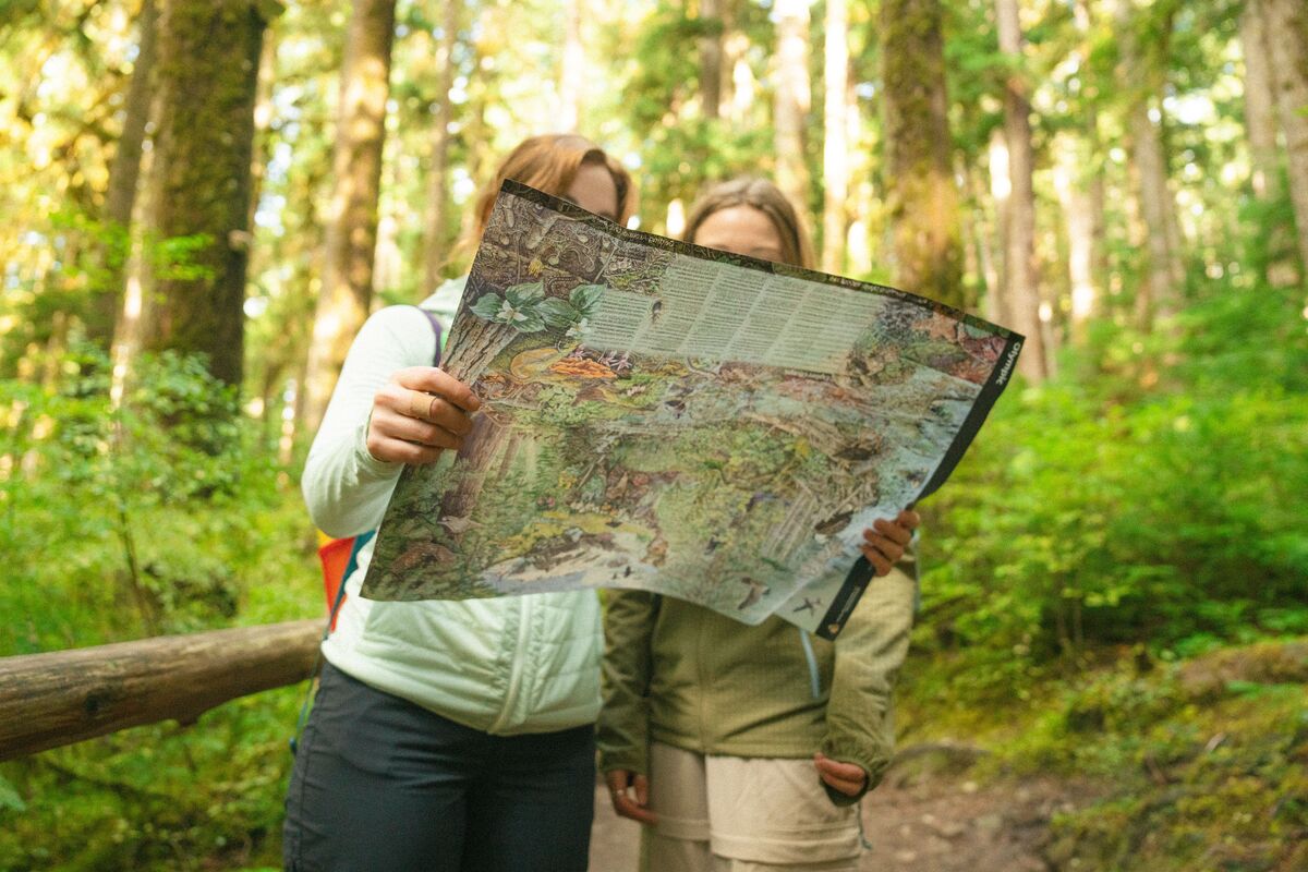 Digital Gift Card - Image 7